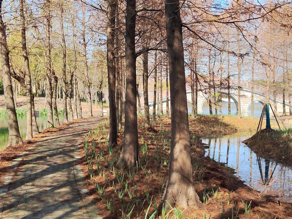 免费!这些原生态的游玩地你去过吗?