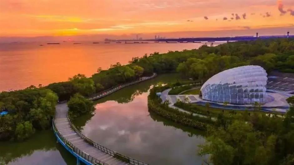 免费!这些原生态的游玩地你去过吗?