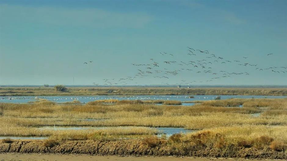 免费!这些原生态的游玩地你去过吗?