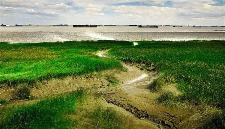 免费!这些原生态的游玩地你去过吗?