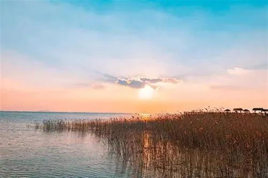 免费!这些原生态的游玩地你去过吗?