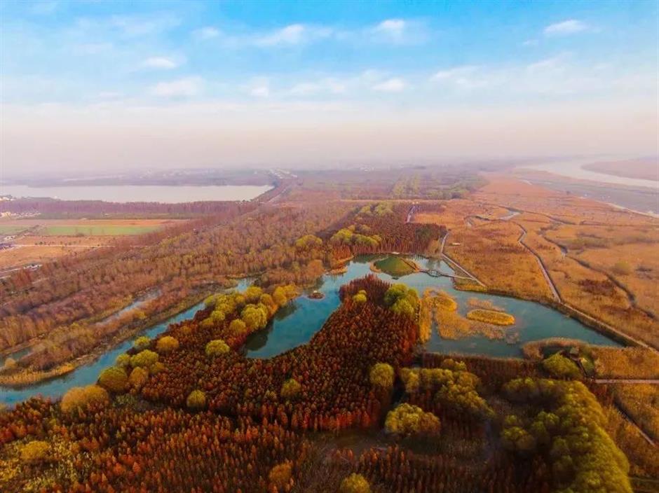 免费!这些原生态的游玩地你去过吗?