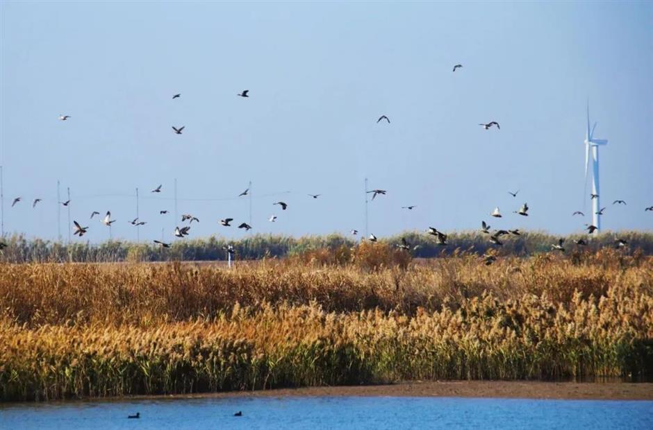 免费!这些原生态的游玩地你去过吗?