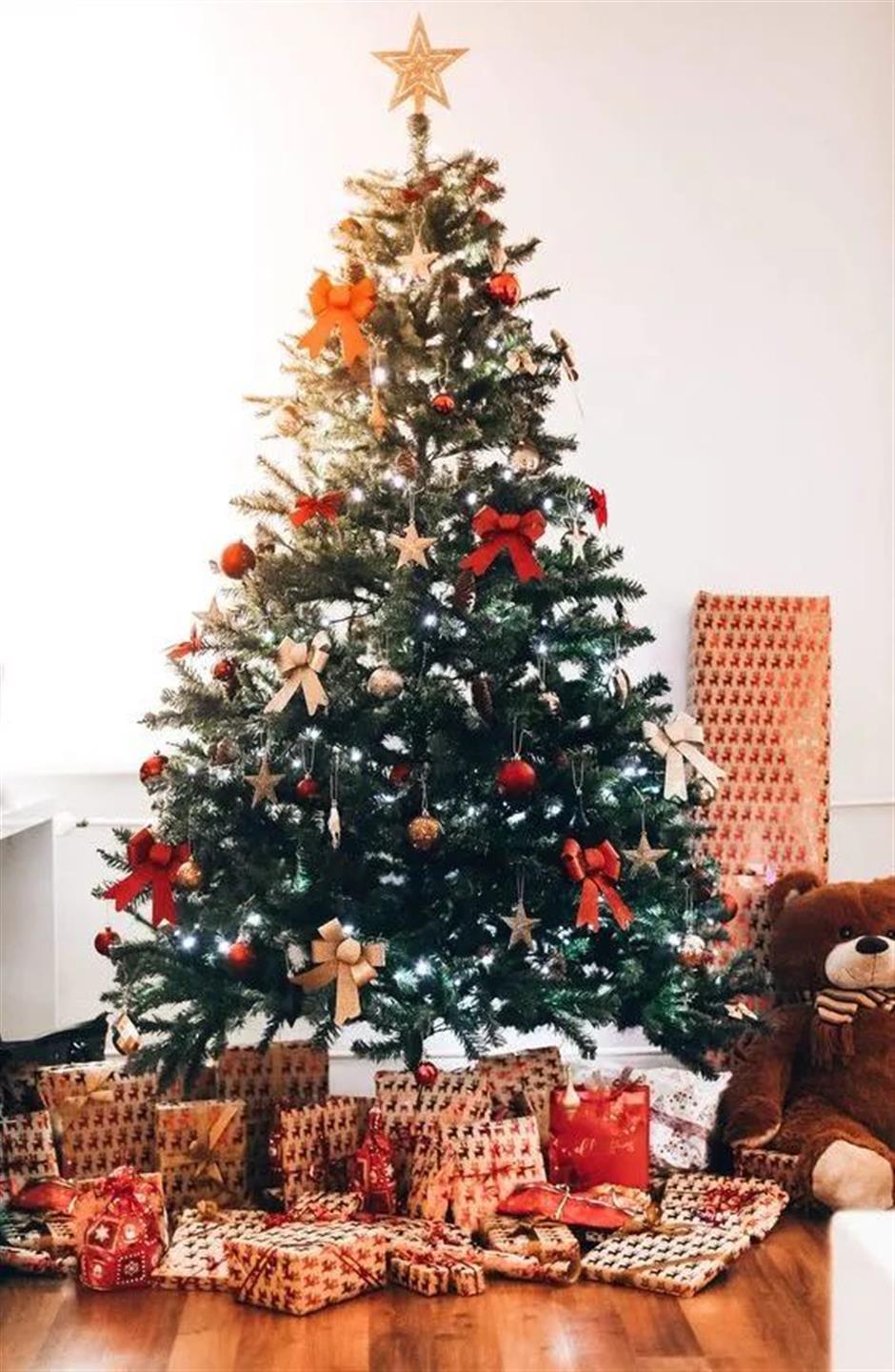 免费开放日!冬日舞会来袭,来迎接初雪吧!