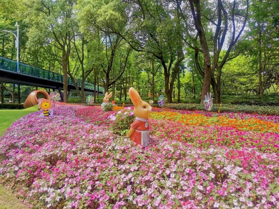 今年上海最后的赏枫胜地!在这条法南风情的路上→