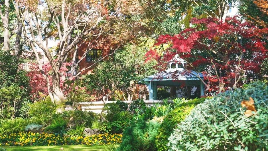 今年上海最后的赏枫胜地!在这条法南风情的路上→