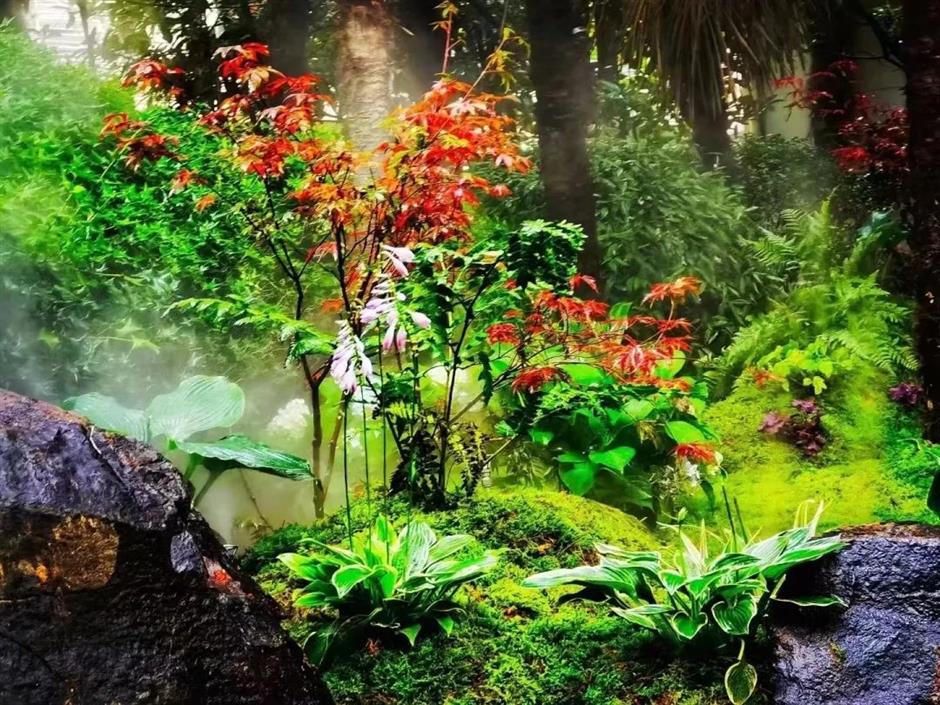 今年上海最后的赏枫胜地!在这条法南风情的路上→