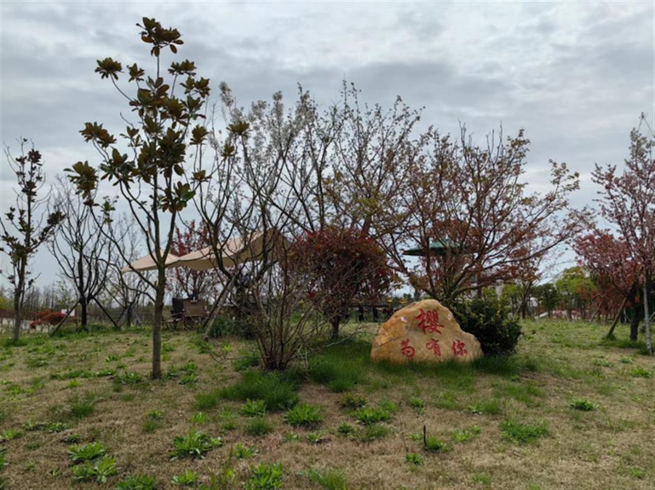 离尘不离城,​冬日遛娃的好去处|上海优质五星乡村民宿