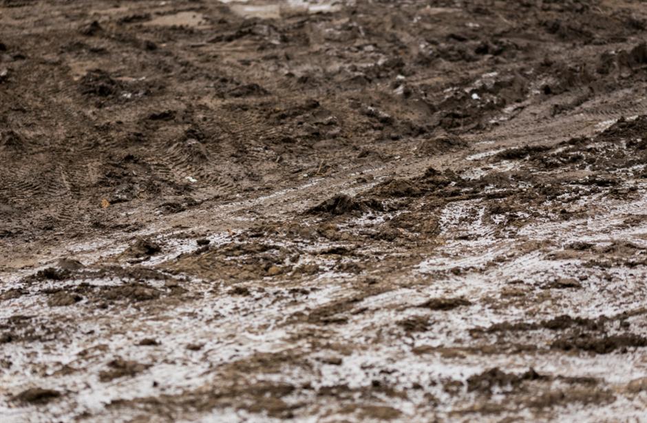 节气之美 | 循环恒有度,阴极复生阳