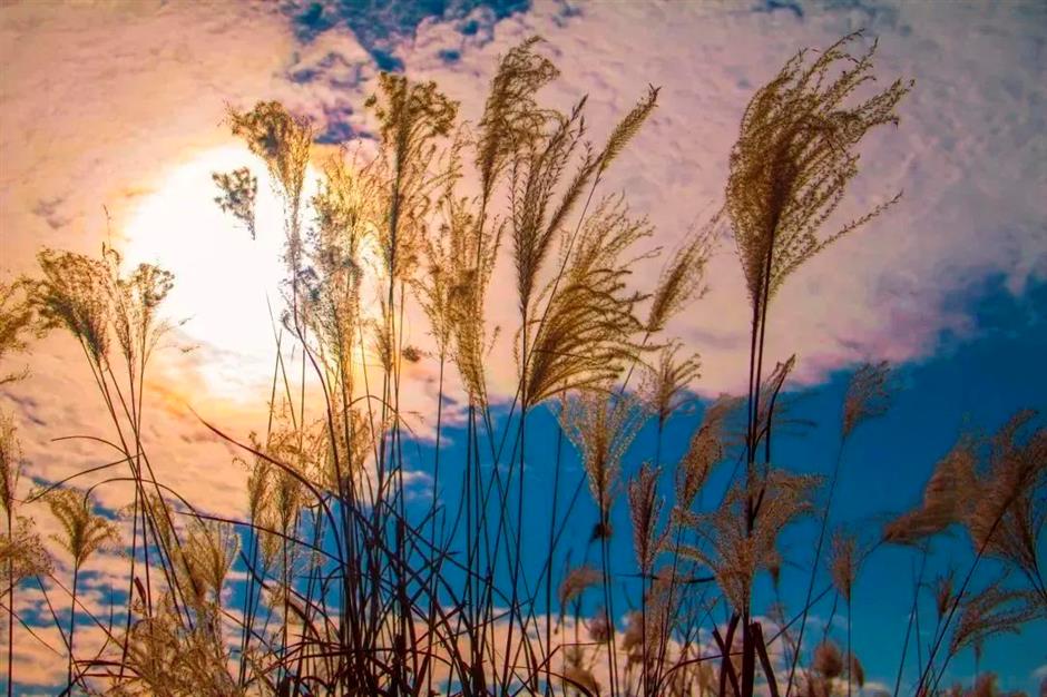 节气之美 | 循环恒有度,阴极复生阳