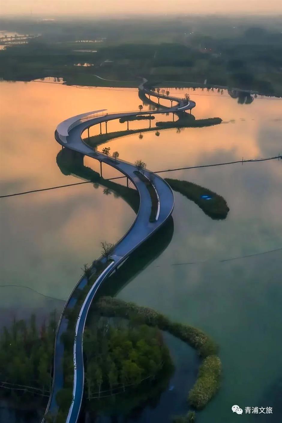 乐游上海迎新年 六大板块22项活动邀你一起来跨年