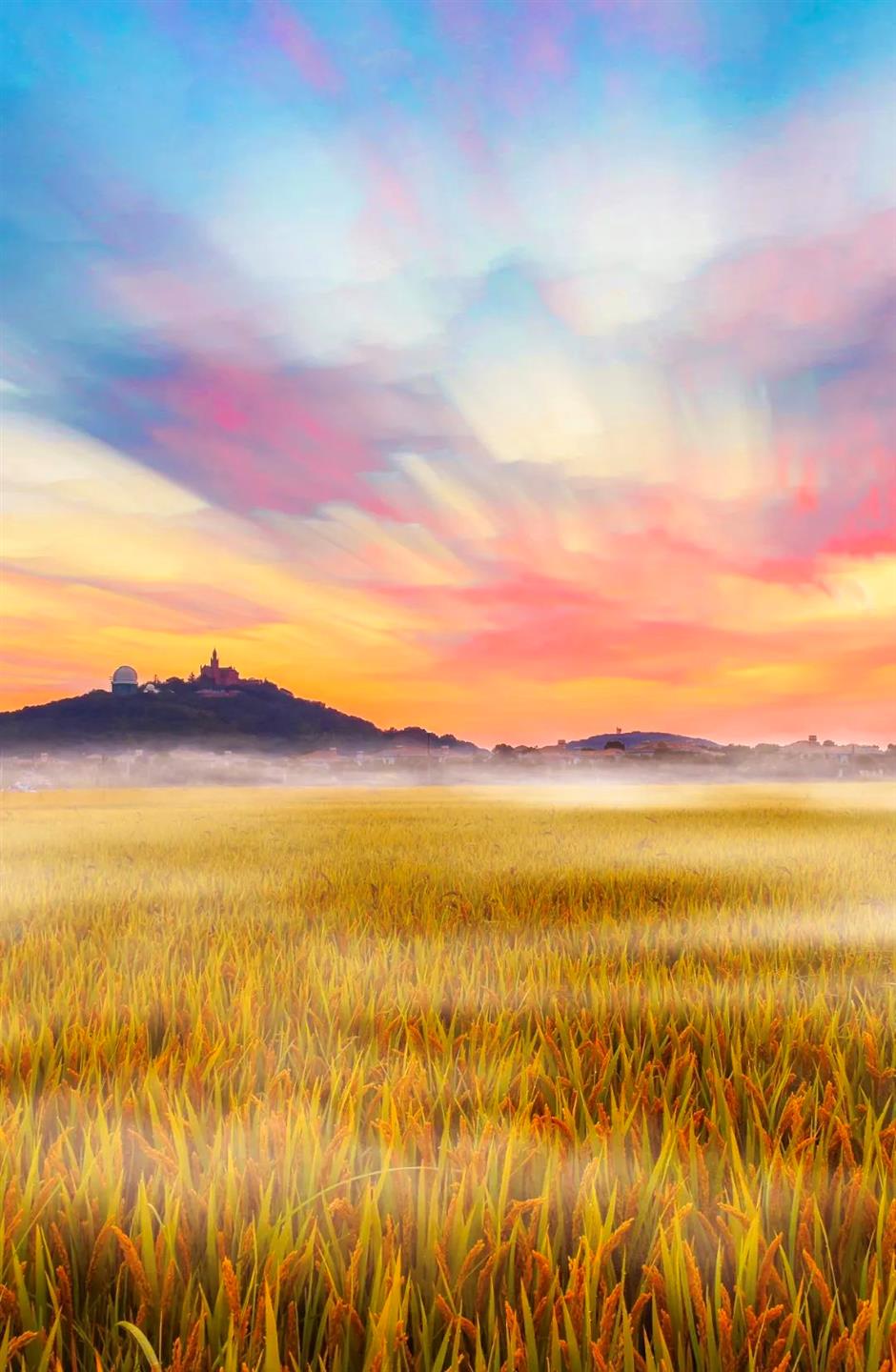 乐游上海迎新年 六大板块22项活动邀你一起来跨年