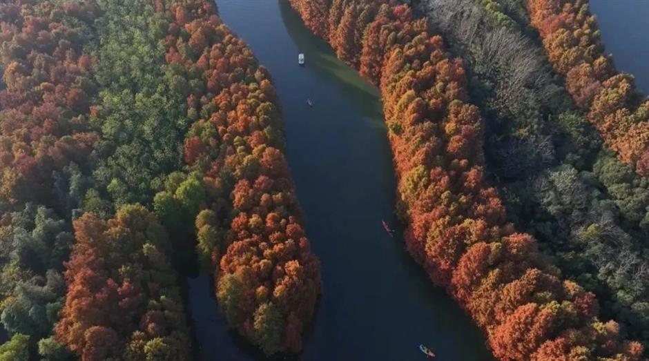 乐游上海迎新年 六大板块22项活动邀你一起来跨年