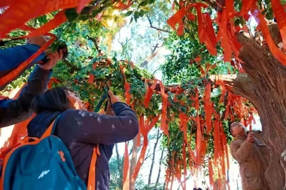 乐游上海迎新年 | 一起登新高,收获有仪式感的开始