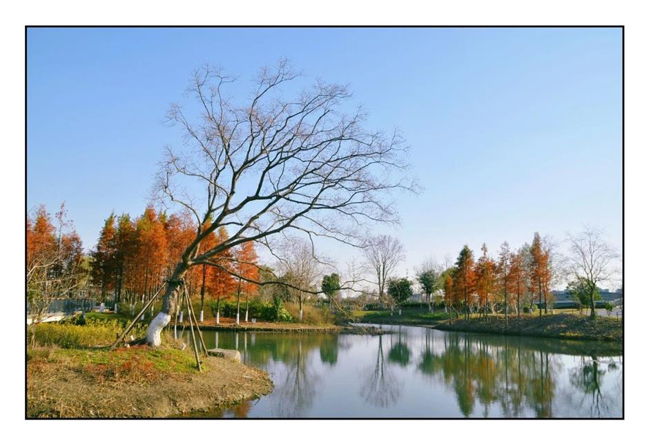 每一眼都惊艳!这个小众公园