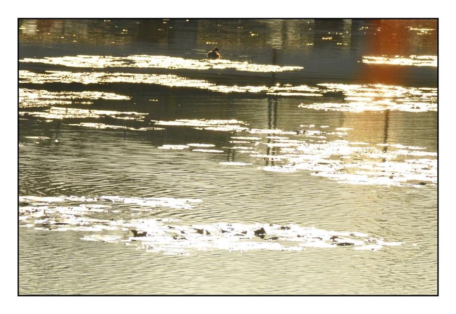 每一眼都惊艳!这个小众公园