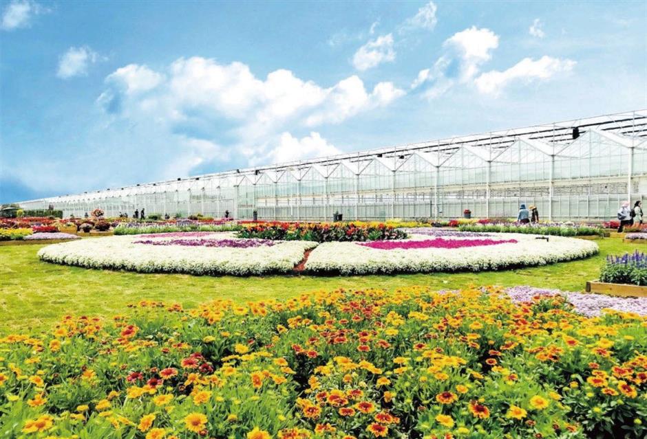 上海新增6家国家3A级旅游景区,游玩指南请收好