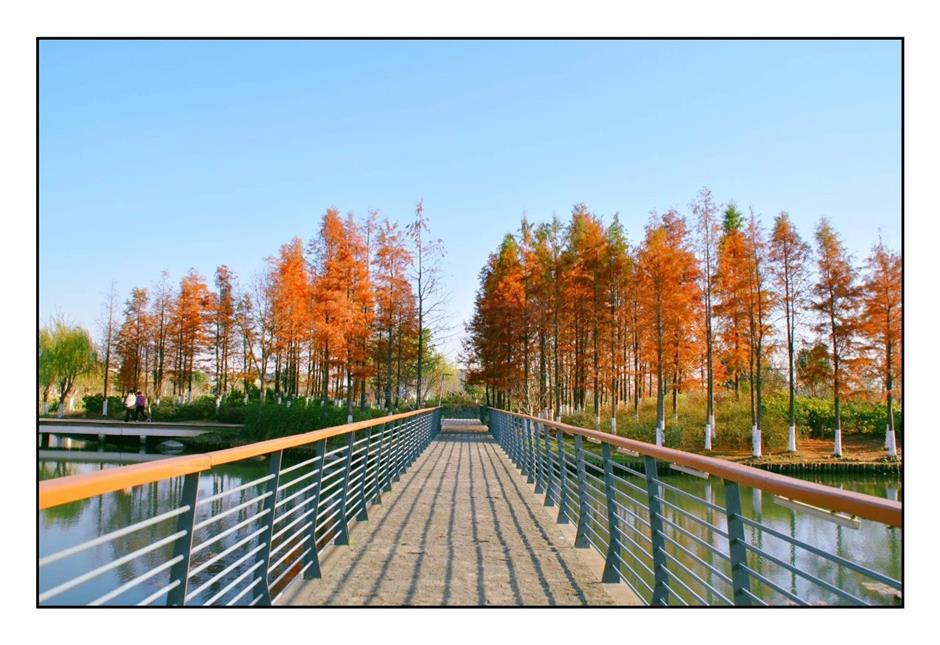 每一眼都惊艳!这个小众公园