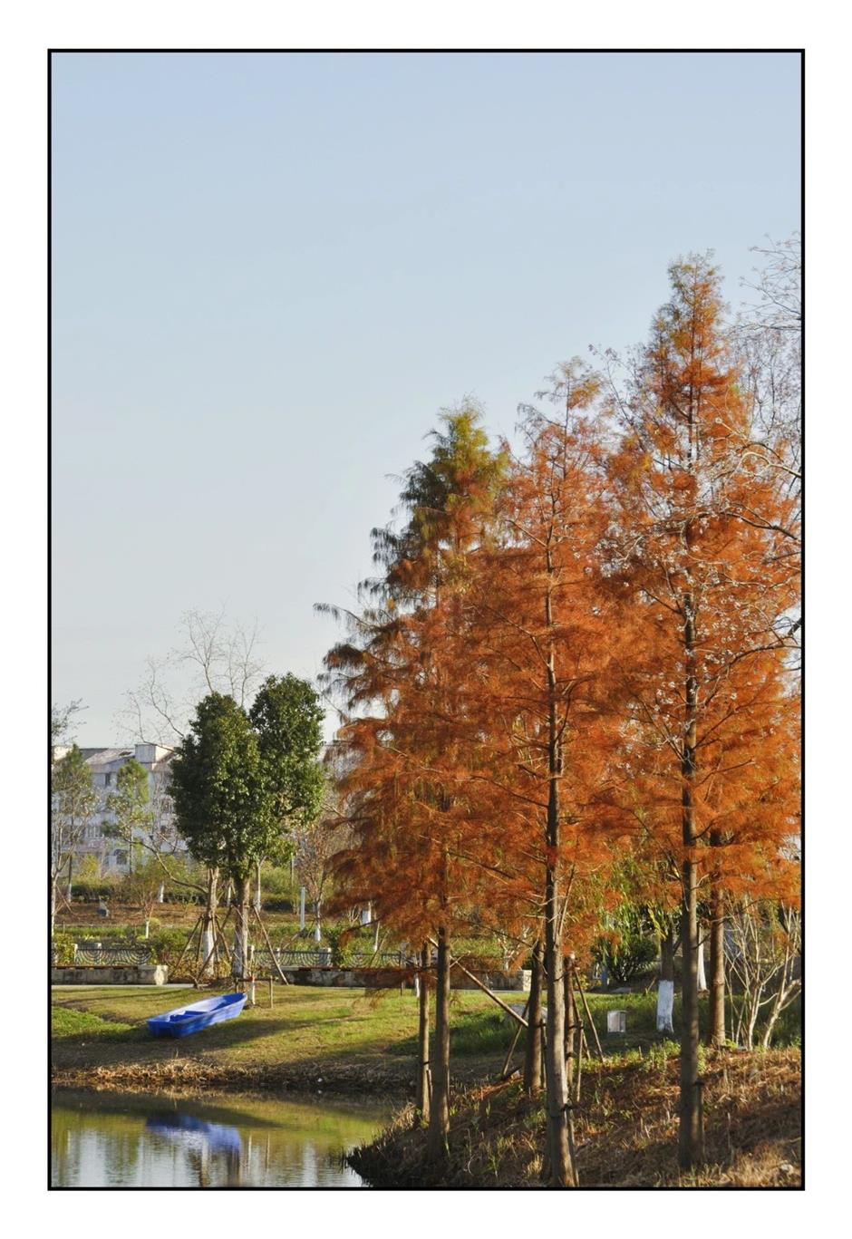 每一眼都惊艳!这个小众公园