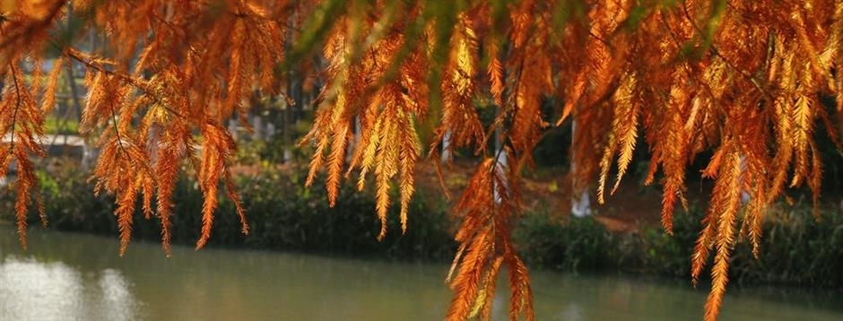 每一眼都惊艳!这个小众公园