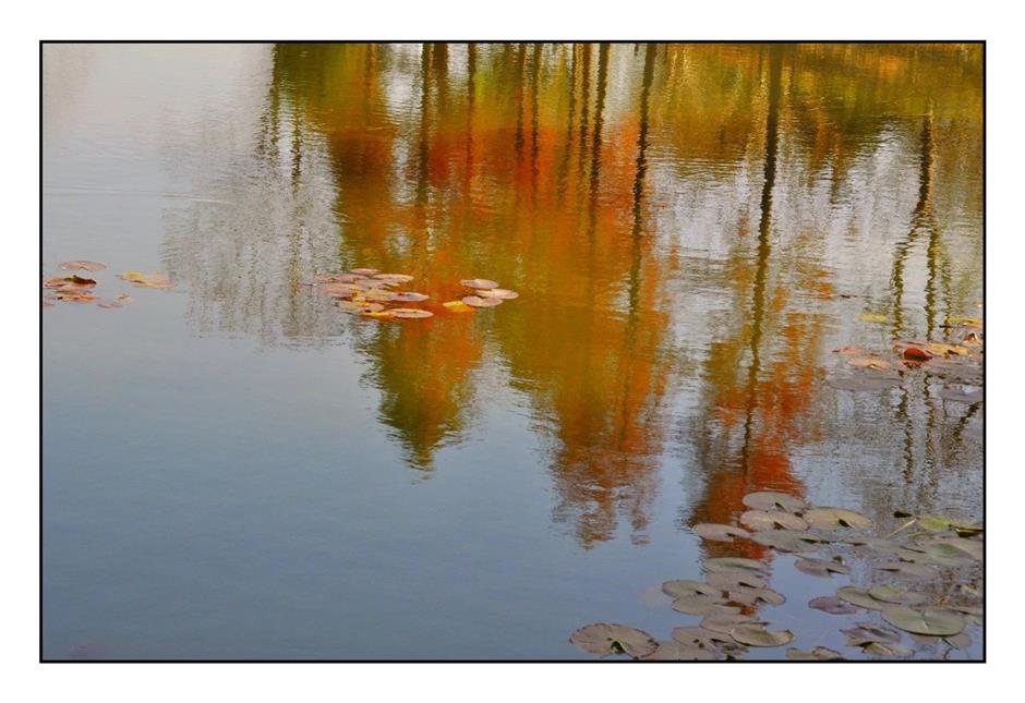 每一眼都惊艳!这个小众公园