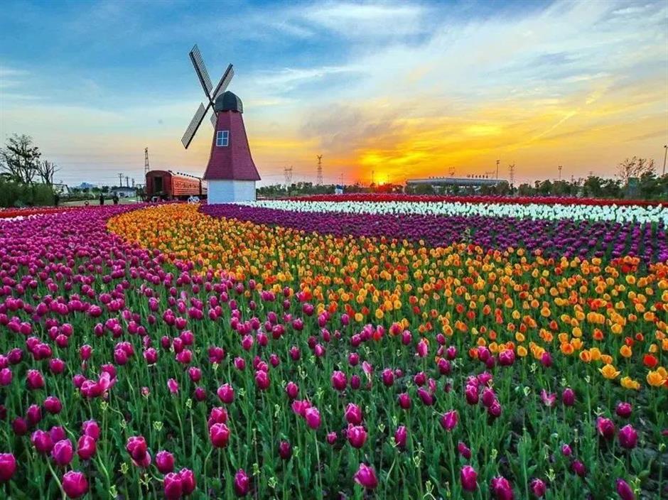 上海新增6家国家3A级旅游景区,游玩指南请收好