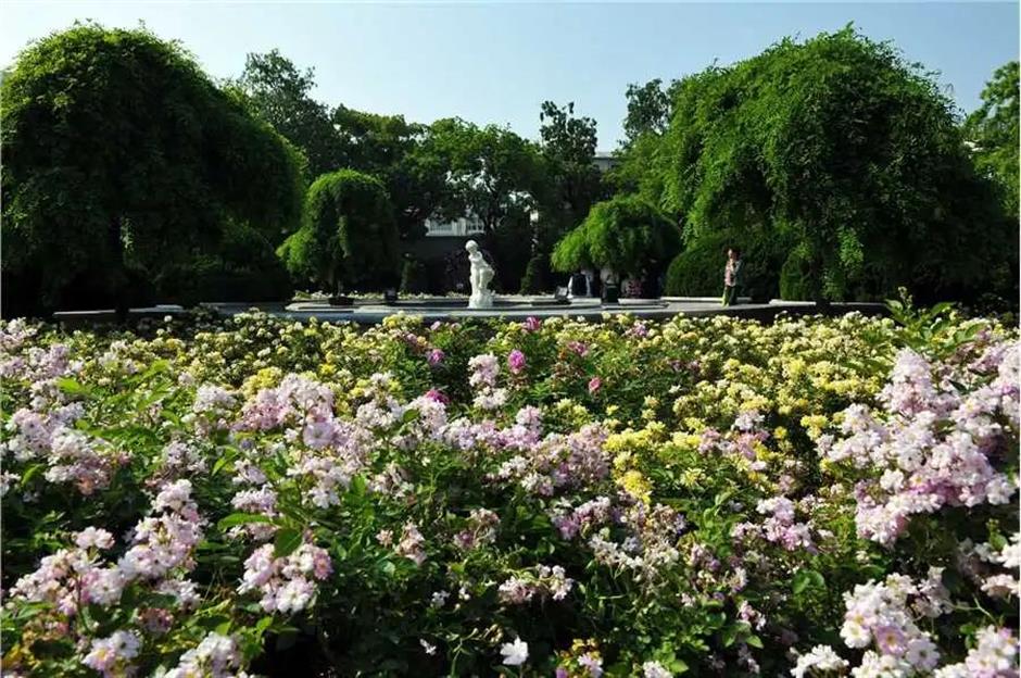 上海新增6家国家3A级旅游景区,游玩指南请收好