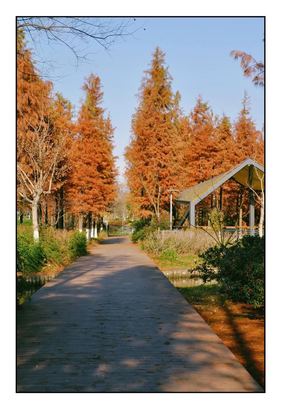 每一眼都惊艳!这个小众公园