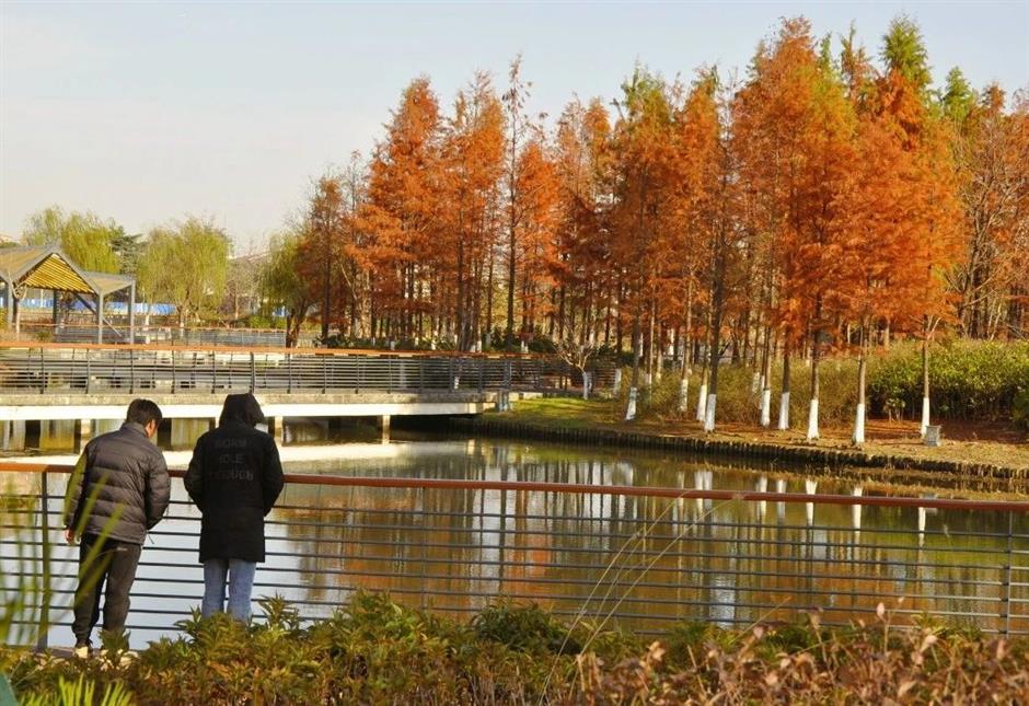 每一眼都惊艳!这个小众公园