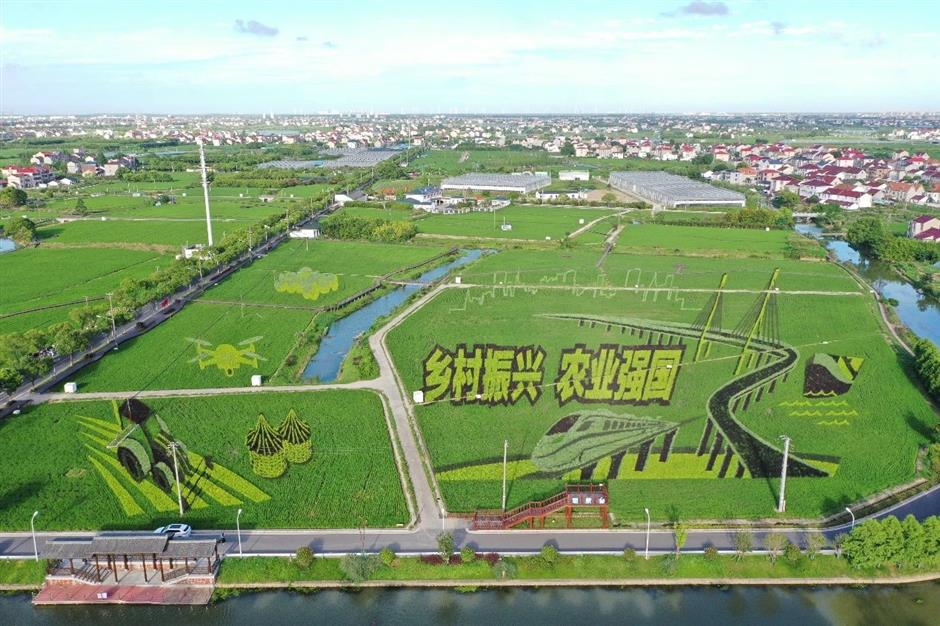 上海新增6家国家3A级旅游景区,游玩指南请收好