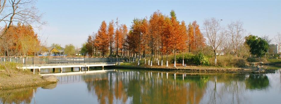 每一眼都惊艳!这个小众公园