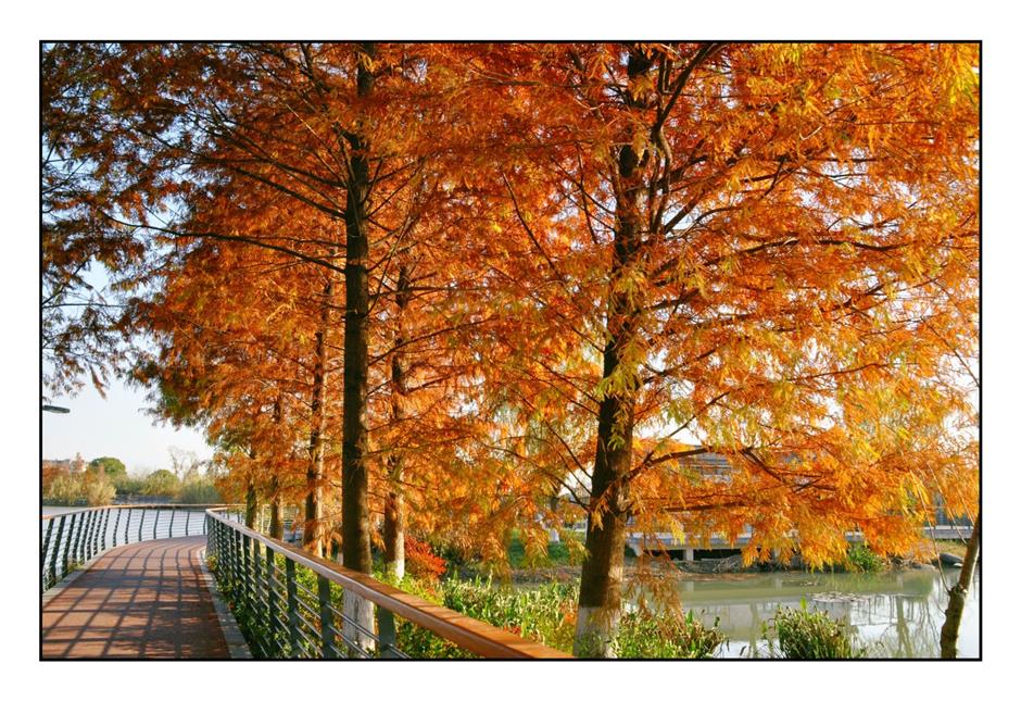 每一眼都惊艳!这个小众公园