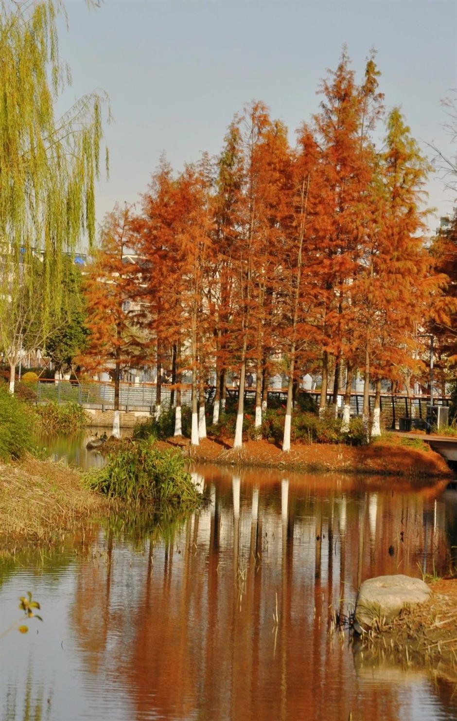 每一眼都惊艳!这个小众公园