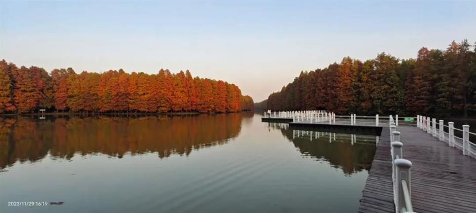 乐游上海迎新年 | 迎新跑,开启元气满满的一年