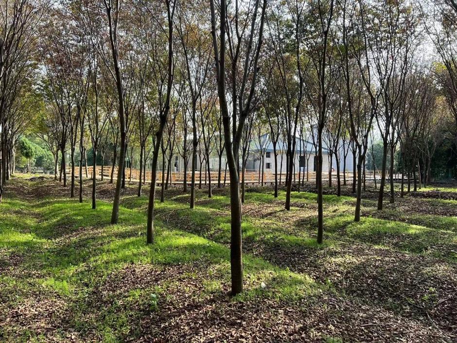 新生活、新玩法,來海島度假吧!| 上海優質五星鄉村民宿