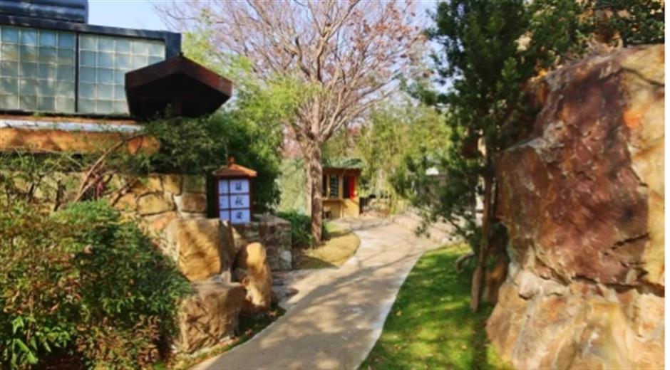 品茶、遛娃、赏景 这个沪郊的免费园林,满足了