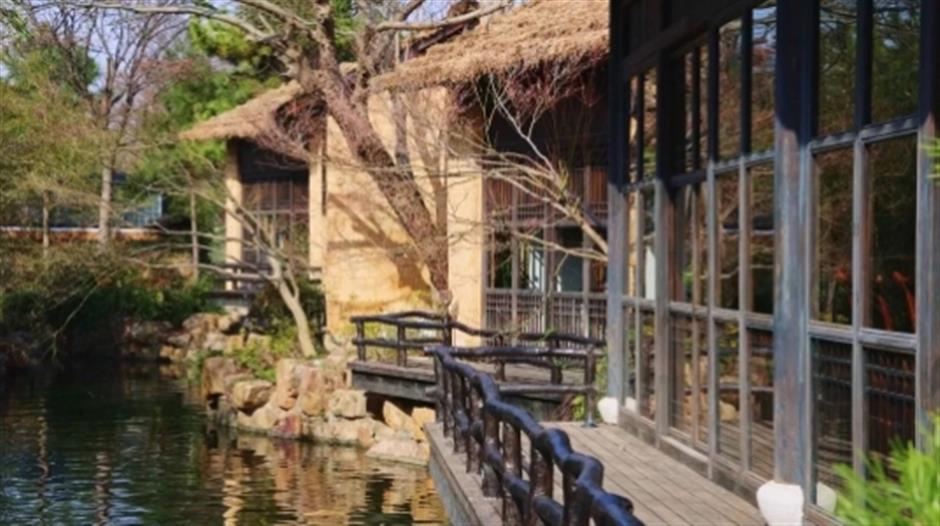 品茶、遛娃、赏景 这个沪郊的免费园林,满足了