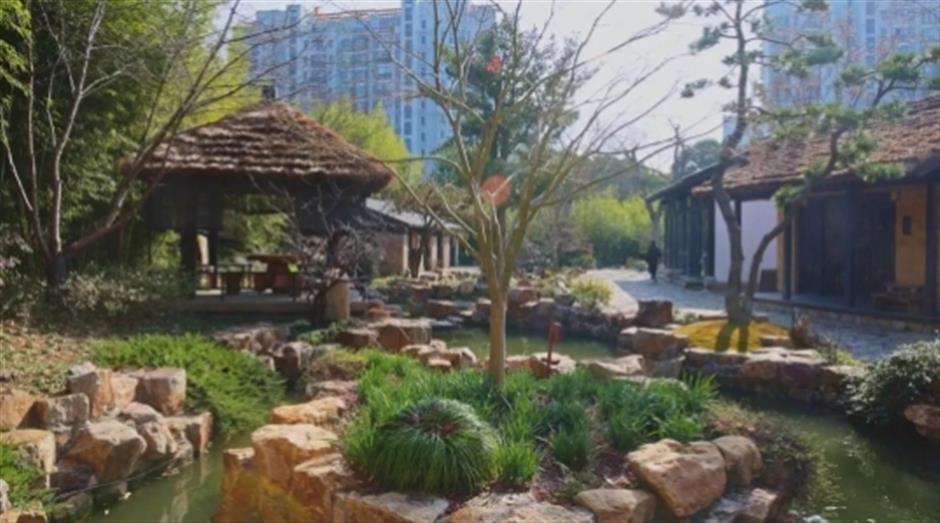 品茶、遛娃、赏景 这个沪郊的免费园林,满足了