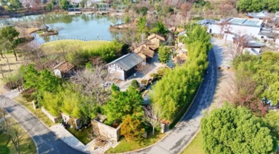 品茶、遛娃、赏景 这个沪郊的免费园林,满足了