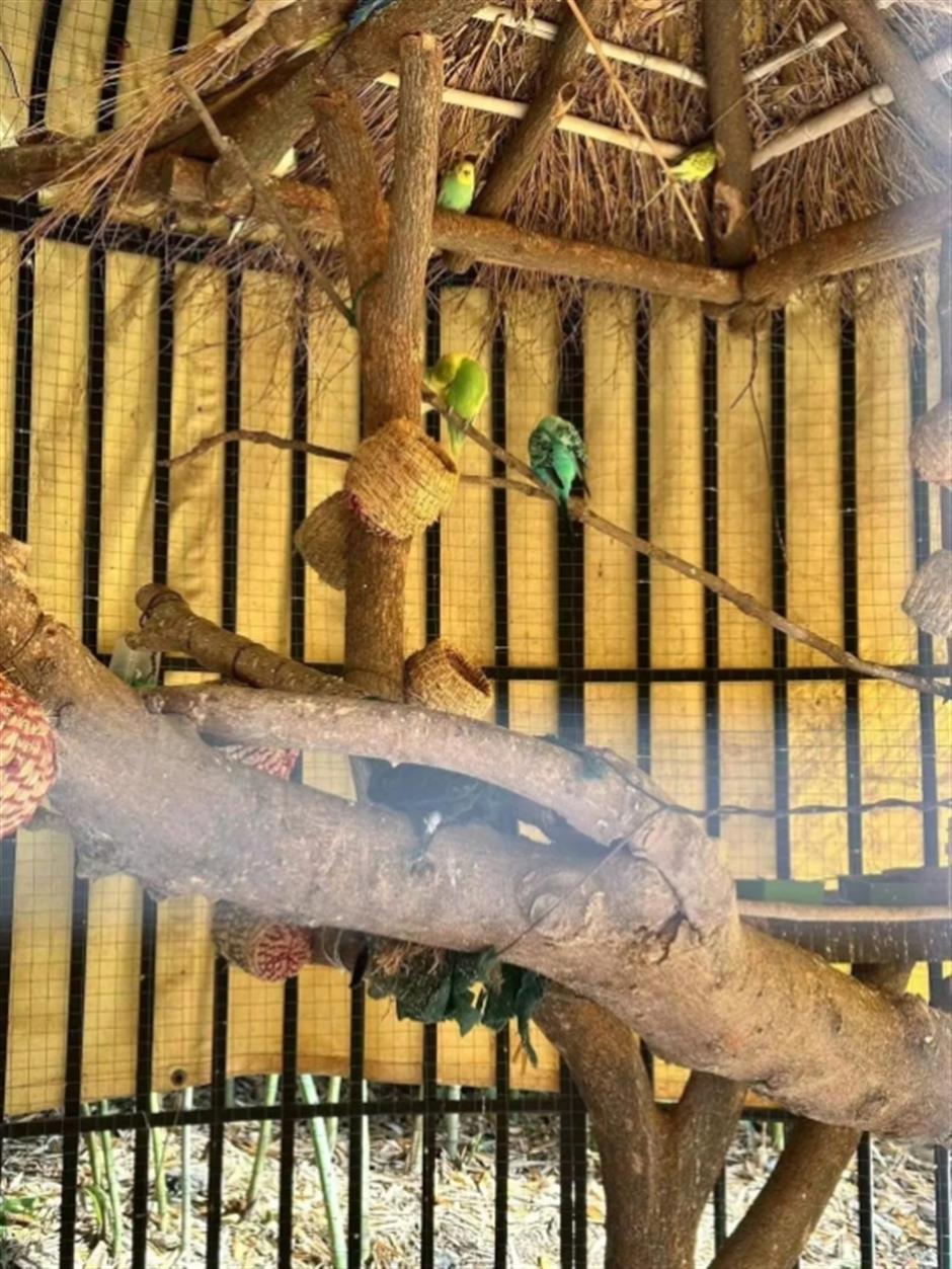 品茶、遛娃、赏景 这个沪郊的免费园林,满足了