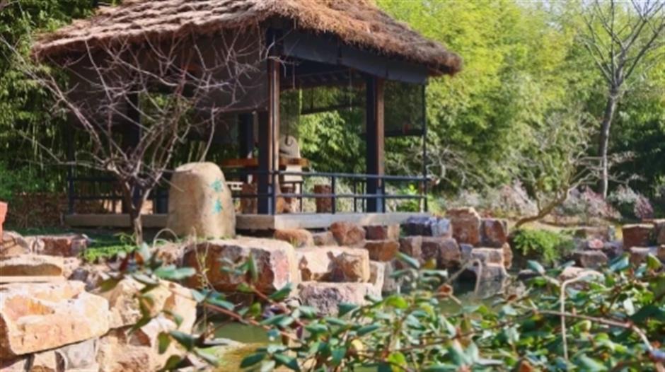 品茶、遛娃、赏景 这个沪郊的免费园林,满足了