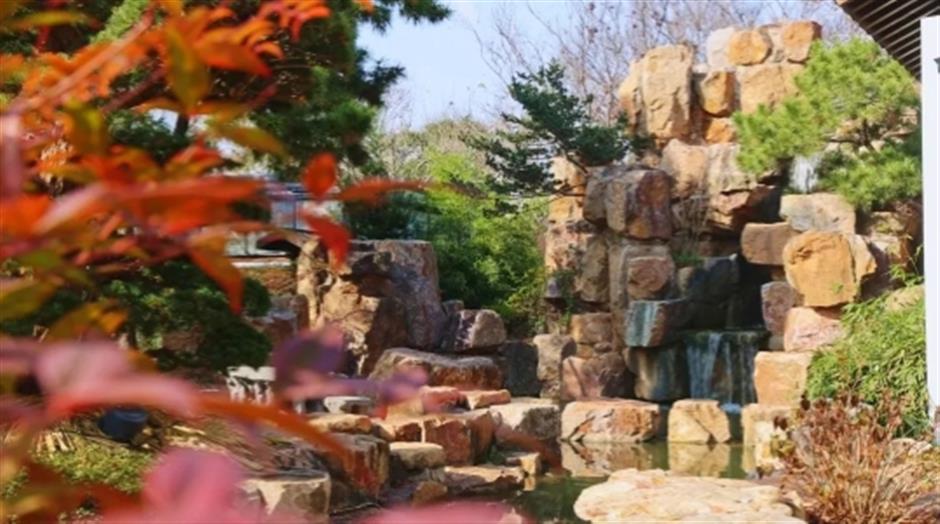 品茶、遛娃、赏景 这个沪郊的免费园林,满足了