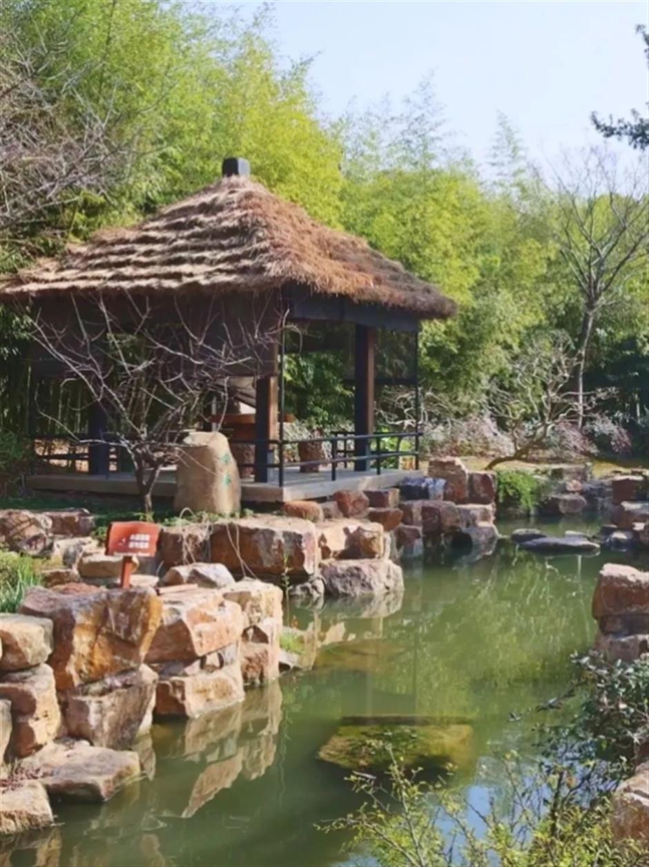品茶、遛娃、赏景 这个沪郊的免费园林,满足了