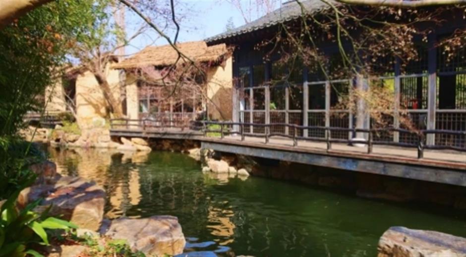 品茶、遛娃、赏景 这个沪郊的免费园林,满足了