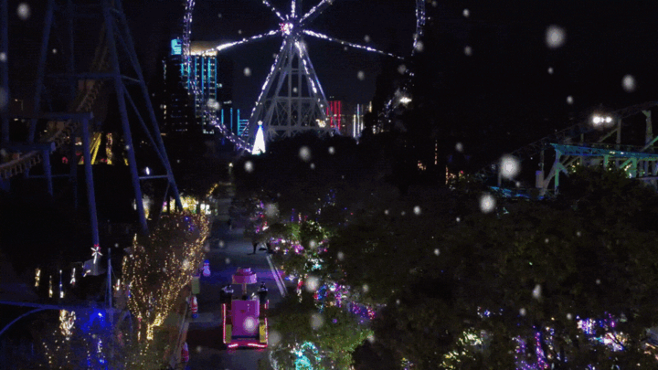 冬日驚喜,上海這些地方「下雪」了!