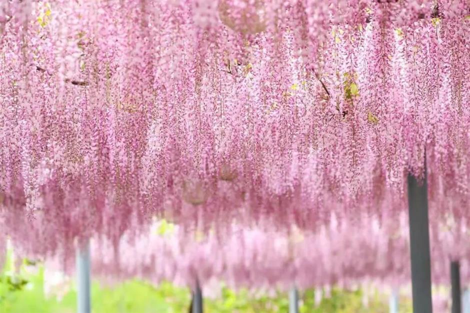 老廠房→藝術殿堂!古城裡,藏著一座美術館|家門口的好去處