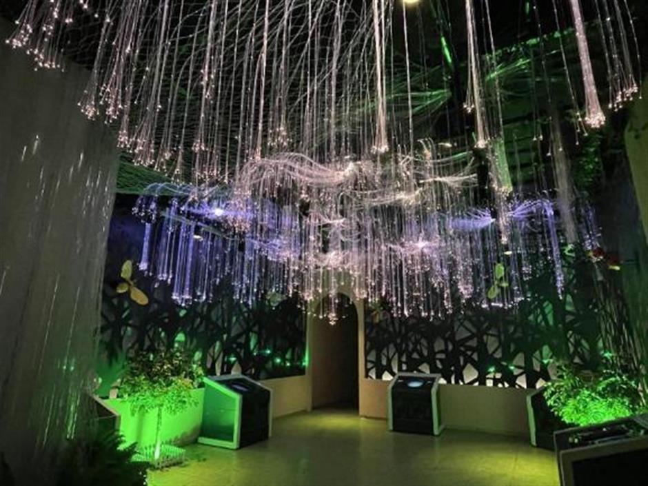 这些是年轻人的