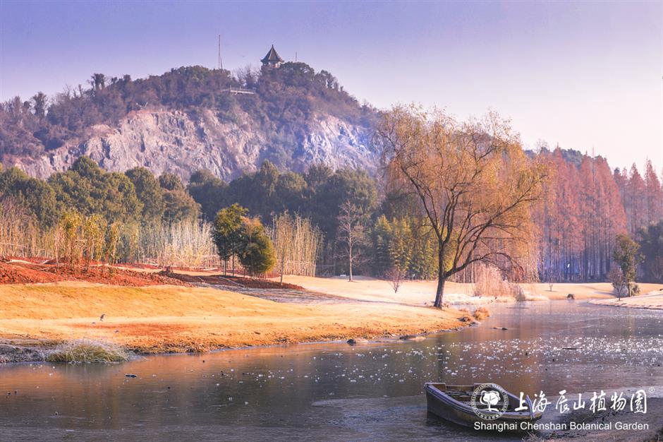 冰霜覆盖的美景