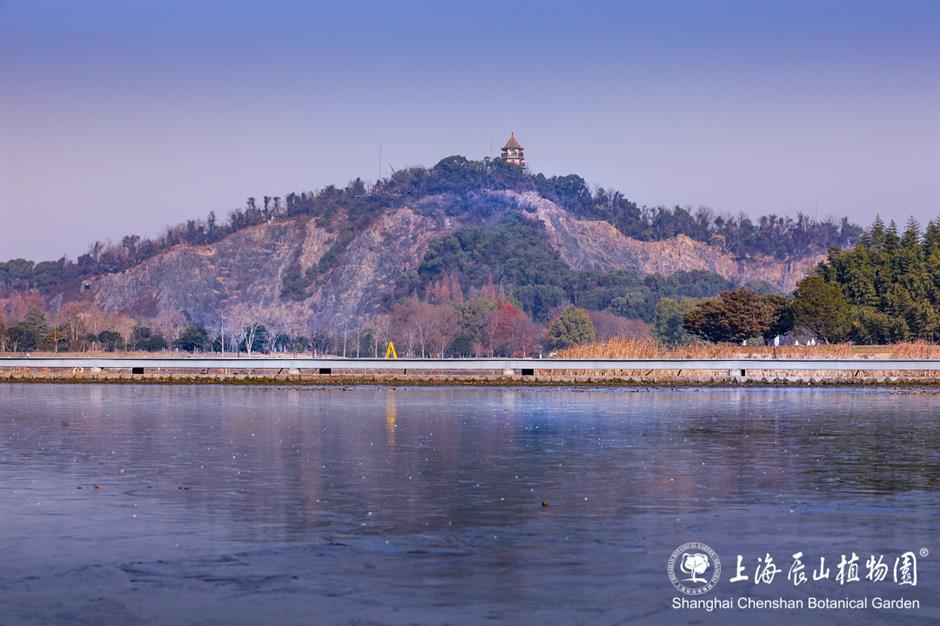 冰霜覆盖的美景