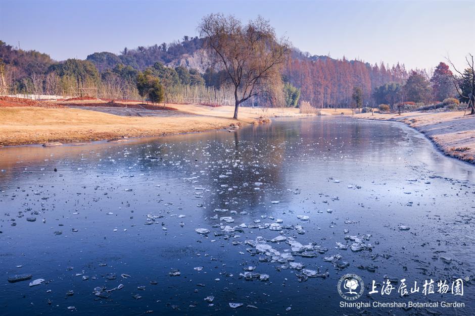 冰霜覆盖的美景